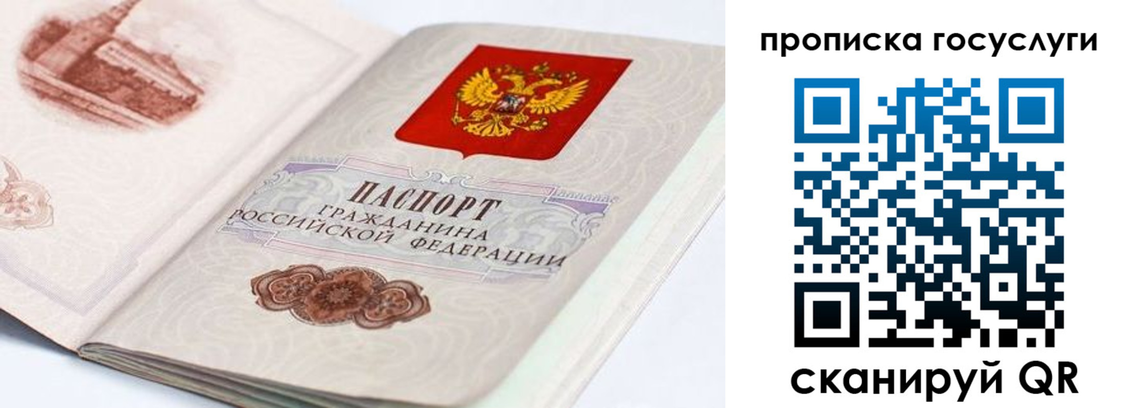 прописка регистрация в Судогде
